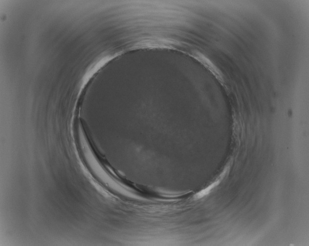X0000063440893200601201152