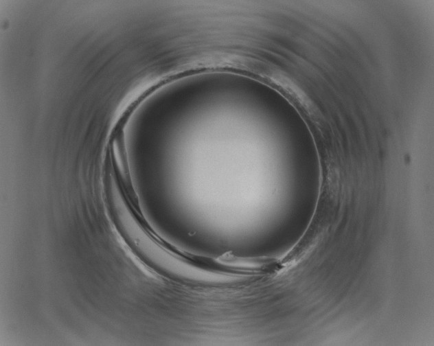 X0000063440894200601201152