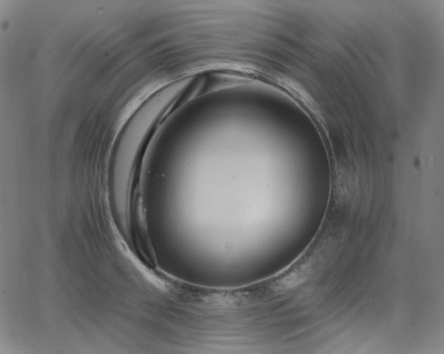 X0000063440898200601201152