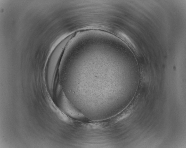 X0000063440900200601201152