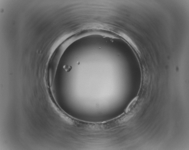 X0000063440901200601201152