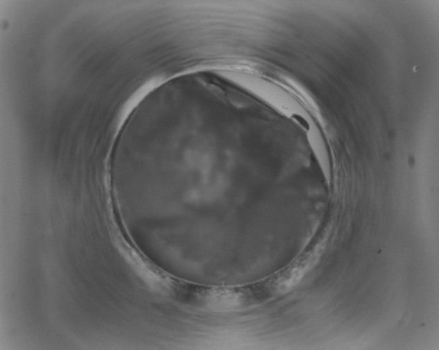 X0000063440907200601201152
