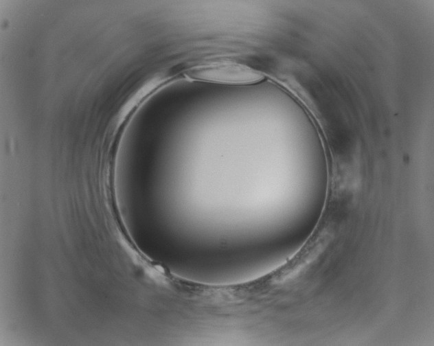 X0000063440909200601201151