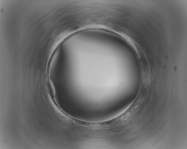 X0000063440911200601201151