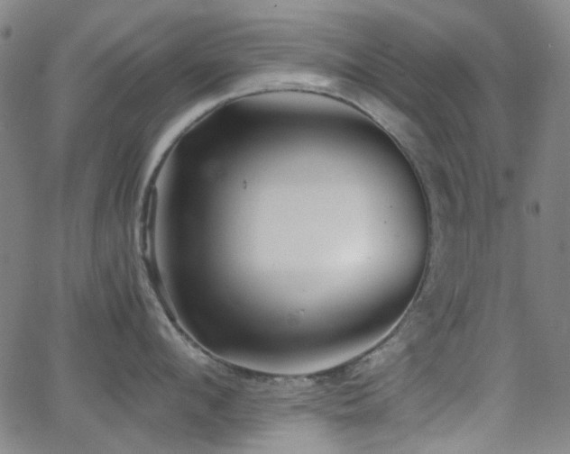 X0000063440912200601201151
