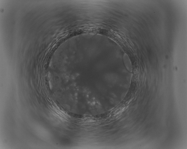 X0000063440913200601201151
