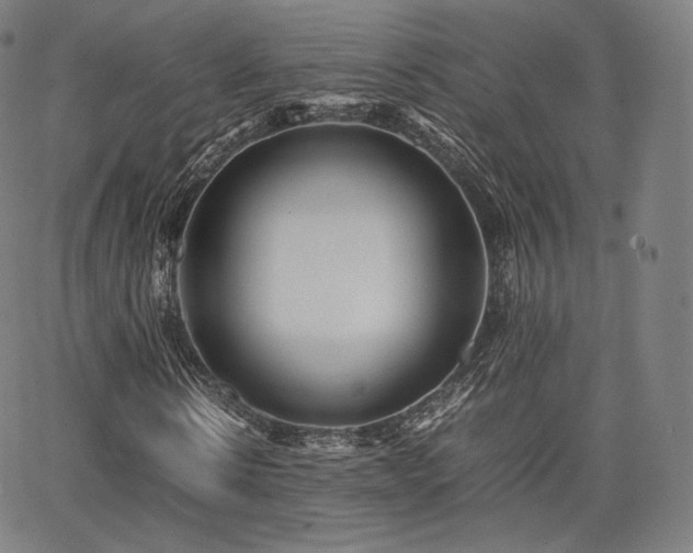 X0000063440914200601201151