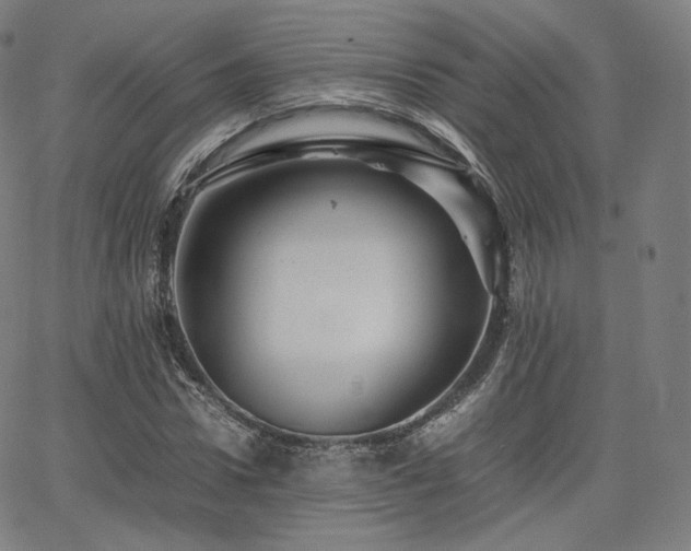 X0000063440922200601201151