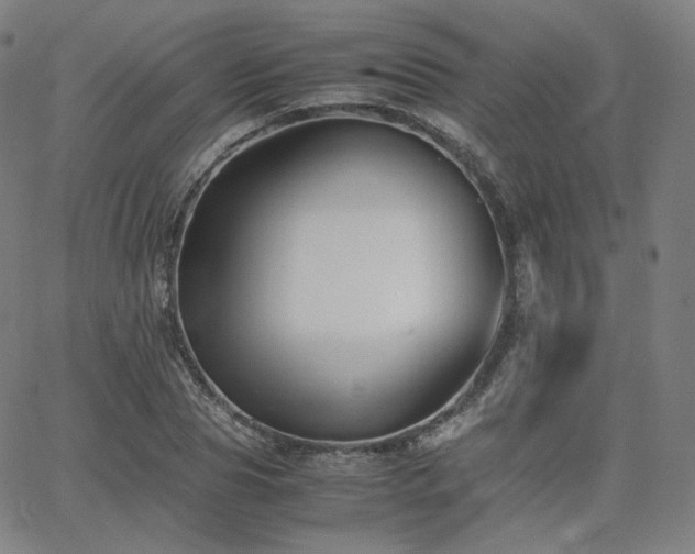 X0000063440929200601201151