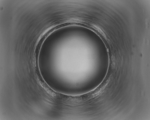 X0000063440931200601201151
