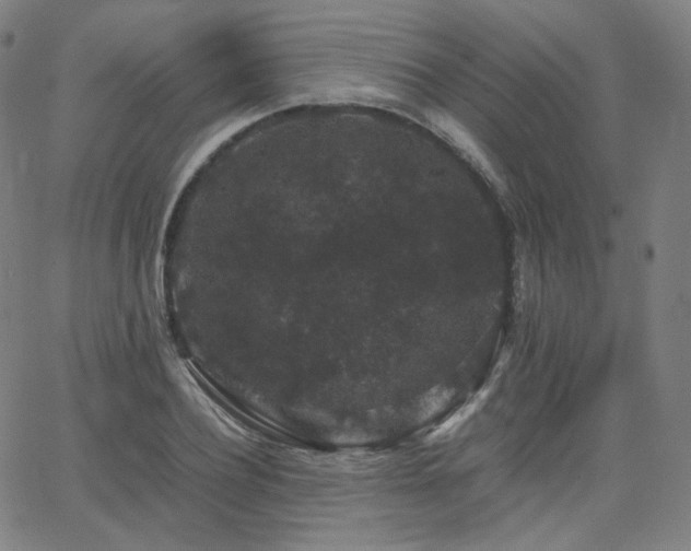 X0000063440932200601201151