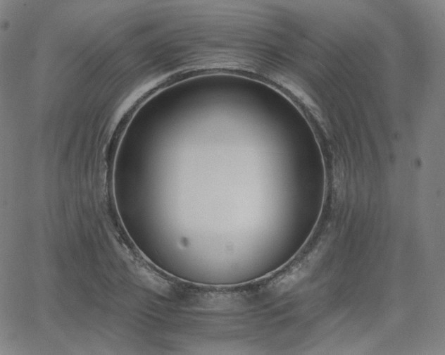 X0000063440933200601201151