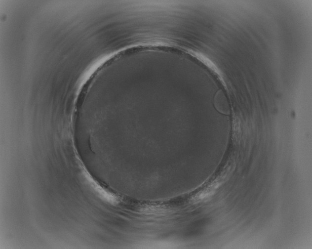 X0000063440935200601201151