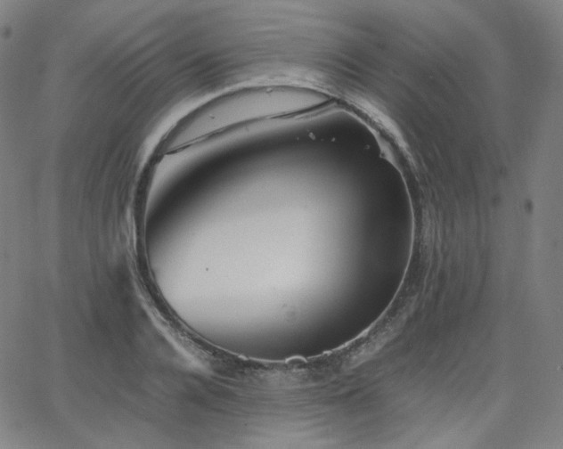 X0000063440936200601201151