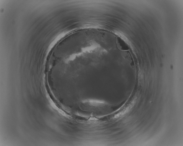 X0000063440941200601201151