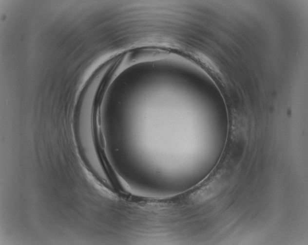 X0000063440942200601201151