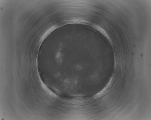 X0000063440946200601201151