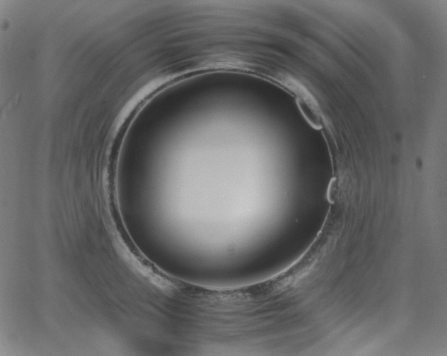 X0000063440947200601201151