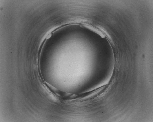 X0000063440948200601201151