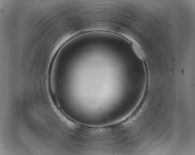 X0000063440949200601201151