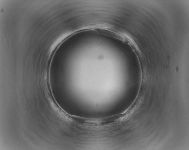 X0000063440952200601201151