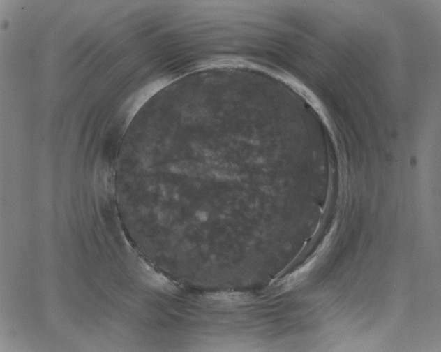 X0000063440953200601201151