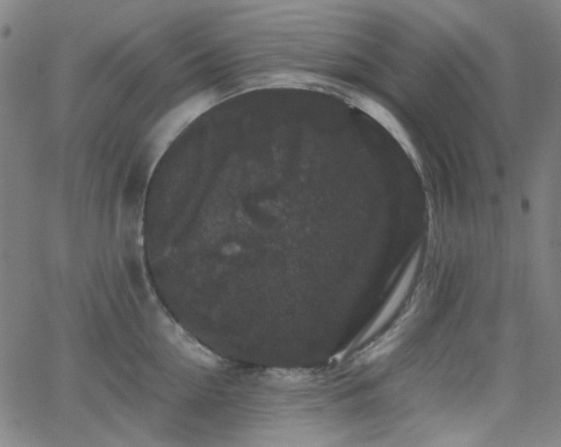 X0000063440954200601201151