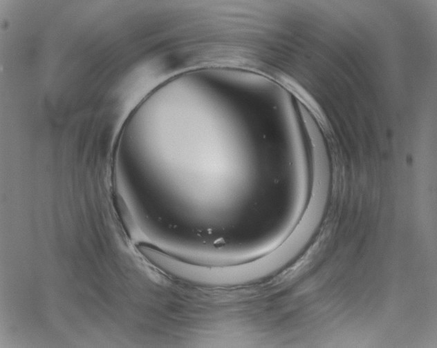 X0000063440956200601201151
