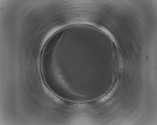 X0000063440958200601201151