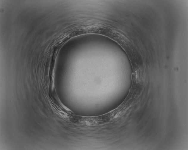 X0000063440963200601201151