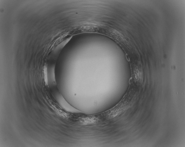 X0000063440964200601201151