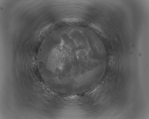 X0000063440966200601201151