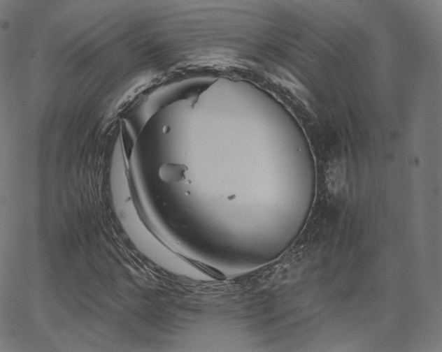 X0000063440968200601201150