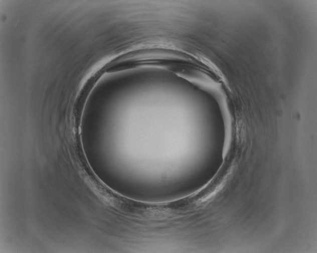 X0000063440981200601201150