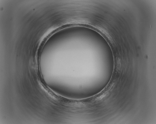 X0000063440982200601201150