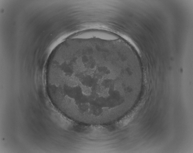 X0000063440983200601201150