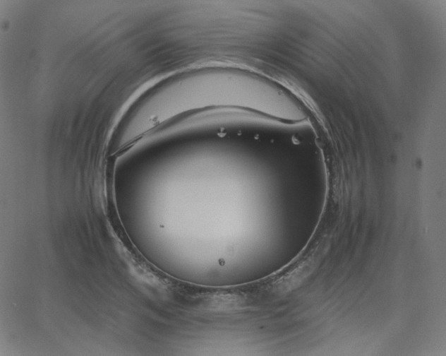 X0000063440984200601201150