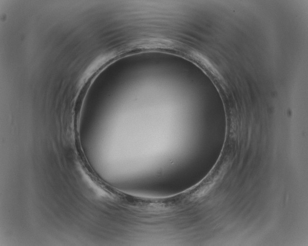 X0000063440986200601201150