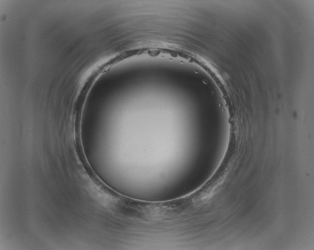 X0000063440987200601201150