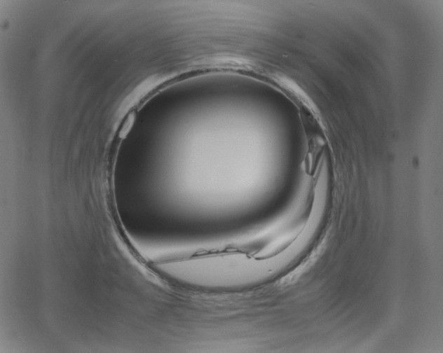 X0000063440989200601201150