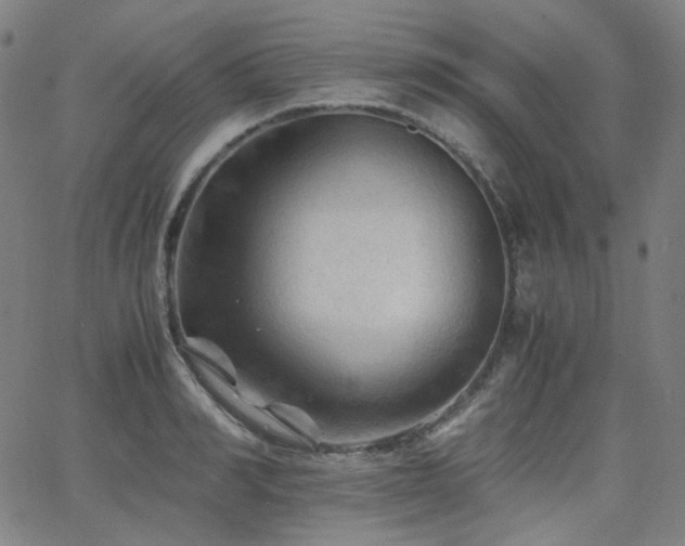 X0000063440990200601201150
