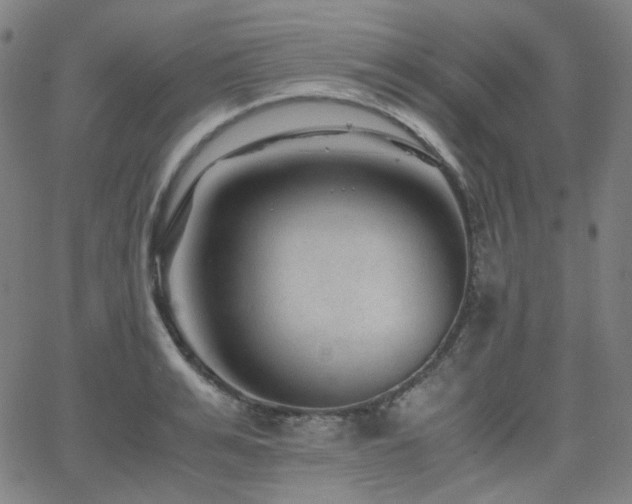 X0000063440991200601201150