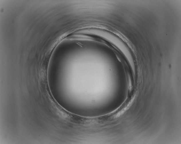 X0000063440993200601201150