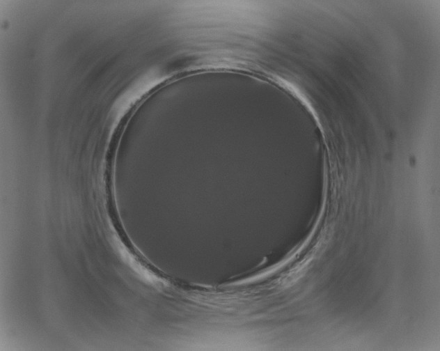 X0000063440995200601201150
