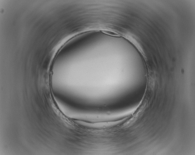 X0000063441004200601201150