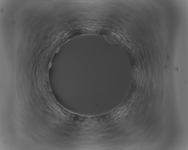 X0000063441009200601201149