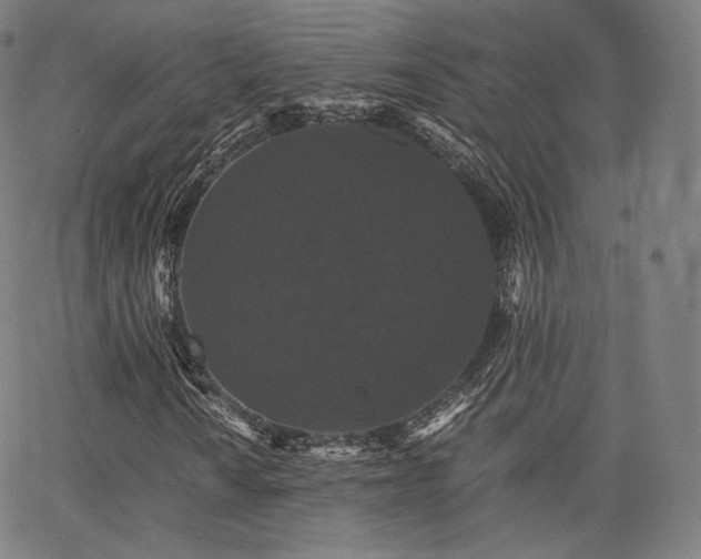 X0000063441010200601201149