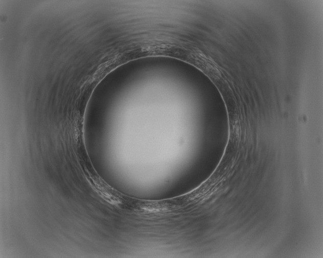 X0000063441012200601201149