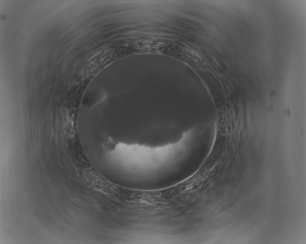 X0000063441013200601201149