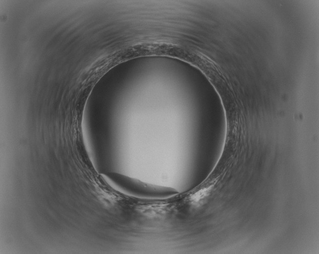 X0000063441014200601201149